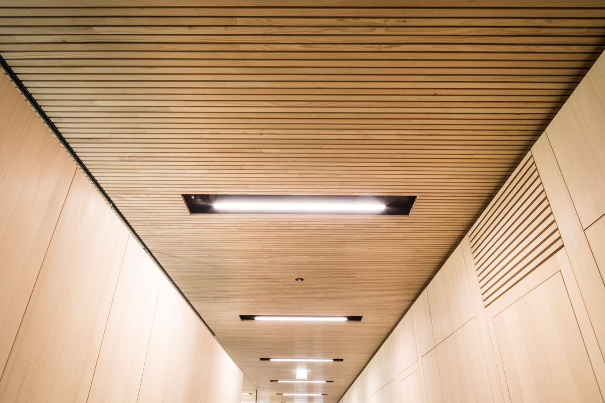 Holzdecken - Martin Holzbau